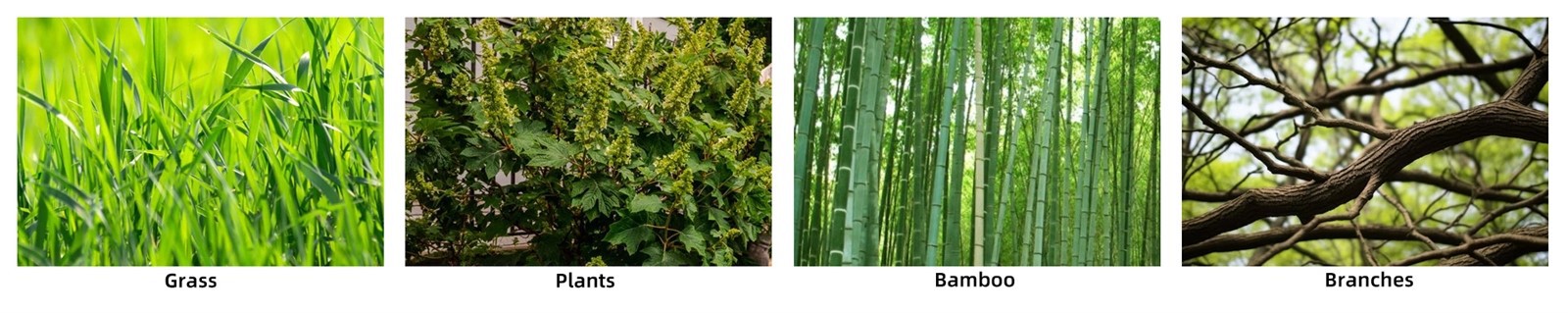 20241129120150 20241129120150